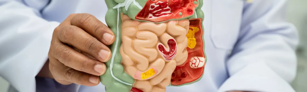 Sisema digestivo del ciclista